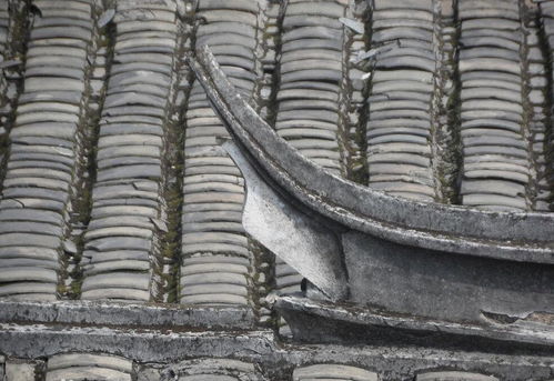 瓦片 传统建筑中的守护者与美学符号